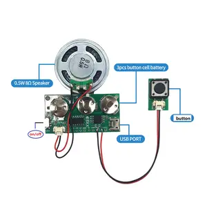 Il chip vocale del modulo audio di registrazione del pulsante personalizzato può modificare i file audio per una confezione regalo creativa