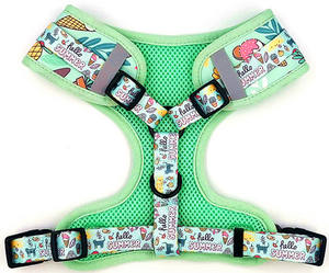 Großhandel Custom Print Haustier halsband Sublimation Personal isierte Neopren Luxus verstellbare weiche Hunde halsbänder und Leine - Product Image 3