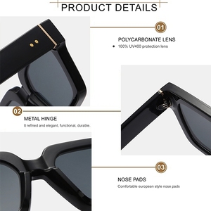 Gafas de Sol de Diseñador de Marca de Lujo 8263, Gafas de Sol Cuadradas y Rectangulares de Alta Calidad para Hombre y Mujer 2024 - Product Image 4