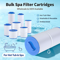 Cartouche filtrante de remplacement pour spa PMAX50P4 5CH-35 FC-0300 pour bain à remous, spa, piscine, traitement de l'eau