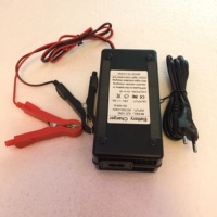 Chargeur de batterie au plomb scellé Hagors 120W 24V5A avec mode flottant pour trottinette électrique et fauteuil roulant, avec pinces crocodiles