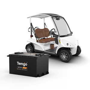 Baterai Mobil Golf TEMGO Lifepo4 AS 100ah 48v Lithium 72v 36v dengan Casing Logam untuk Kendaraan Listrik LSV - Product Image 1