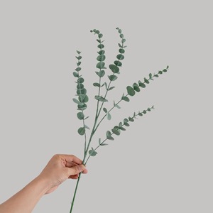 Fleur artificielle CallaFloral Eucalyptus à tige unique en PVC pour décoration intérieure, mariage, artisanat, style INS, e-commerce transfrontalier - Product Image 2