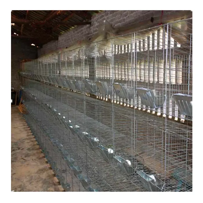 Facile da Pulire coniglio gabbia commerciali usati in vendita in Kenya