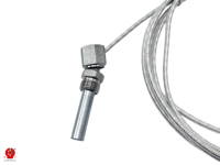 Capteur de température intégré à fil enroulé WZPD Pt100 RTD pour stator de générateur éolien, certifié OEM/ODM IP66 Ex Ia ATEX IECEx