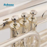 Luxury Bb Silver-plated Marching Euphonium, Professional Grade, Brass Body, Adjustable Mouthpiece
