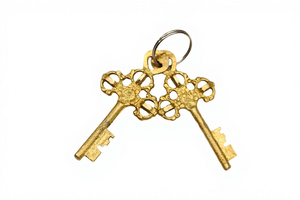Gold Plated Brass Turtle <b>Padlock</b> Figurine with Keys Feng Shui Decorative Brass Artwork for Residential Interiors - Product Image 5