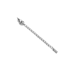 18k <strong>Gold</strong> PVD Plated Stainless Steel Lobster Clasp With <strong>Extender</strong> <strong>Chain</strong> Personalized Logo Engraved Charm Round Tag <strong>Chain</strong> <strong>Extenders</strong> - Product Image 4