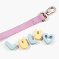 Colliers pour chiens personnalisables DIY : 30 lettres réglables en silicone souple et durable pour chiots et animaux de compagnie