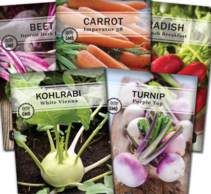 Sow Right Collection de légumes-racines sans OGM Heirloom Semences pour l'extérieur Maison Potager Betterave <span class=keywords><strong>Navet</strong></span>-Paquets individuels - Product Image 1