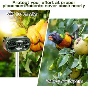 Dispositif répulsif à ultrasons pour oiseaux, à énergie solaire, avec capteur de mouvement, son et lumière clignotante, OEM ODM, pour ferme - Product Image 1
