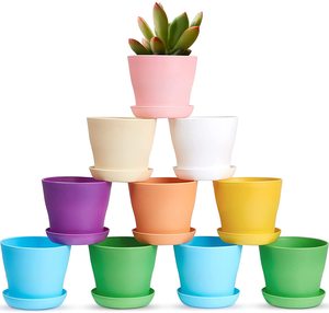 BEES 4" Plastic Plant Pots Small Pots For Plants With Saucer Pallet Flower Plant Container Seed Starting Pots