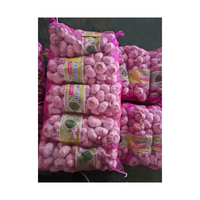 Ail frais blanc pur de 5 cm, nouvelle récolte, prix avantageux, carton de 10 kg, ail frais Ail Fresco