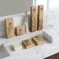 Kit d'articles de toilette jetables personnalisés avec logo pour hôtel, ensemble complet d'accessoires de salle de bain pour hôtels étoilés, fournitures pour voyages