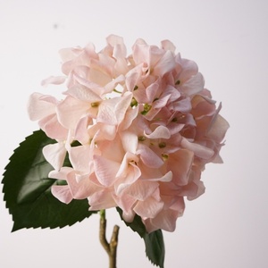 Fleurs artificielles d'<span class=keywords><strong>hortensia</strong></span> hydratées au toucher réel en gros pour la décoration de mariage et de la maison - Product Image 2