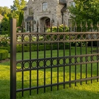 Clôture en fer forgé pour entrée de villa, panneaux décoratifs en fer, revêtement en poudre personnalisé avec portail