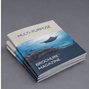 Impression <span class=keywords><strong>de</strong></span> brochures d'entreprise à reliure piquée, usine OEM, personnalisation sur mesure - Product Image 1