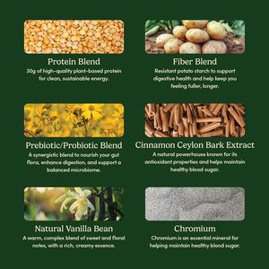 Vanille, Biologisch Plantaardig Eiwit, Gluten-En Zuivelvrij, Koolhydraatarm, Veganistisch Eiwitpoeder - Product Image 4