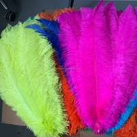 45 50 cm Vente en gros Costume de carnaval Décoration Nandu Plume d'autruche