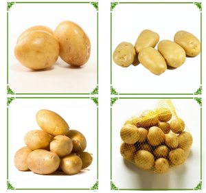 Pommes <span class=keywords><strong>de</strong></span> <span class=keywords><strong>terre</strong></span> fraîches <span class=keywords><strong>de</strong></span> la nouvelle récolte 2025 <span class=keywords><strong>de</strong></span> Chine, pommes <span class=keywords><strong>de</strong></span> <span class=keywords><strong>terre</strong></span> normales à bon prix - Product Image 1