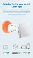 Module d'interrupteur lumineux WiFi miniature caché dans le mur, relais intelligent, télécommande via application, automatisation domestique