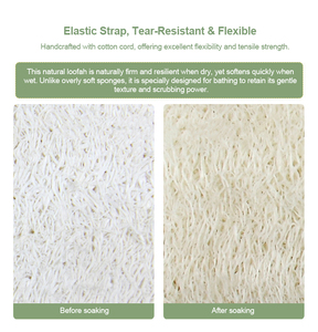 Éponge ovale naturelle et écologique OEM en luffa pour le visage – Usage domestique, exfoliante, portable, pour le corps et le démaquillage - Product Image 6