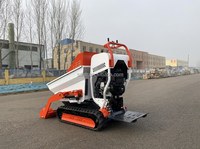 Mini-dumper Euro 5 EPA à démarrage électrique, chargeur hydraulique 500 kg avec pompe et moteur, dumper sur chenilles haute efficacité pour la construction