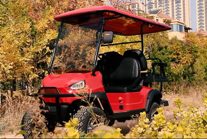 Carritos de Golf Elevados de 7-8 Plazas, Tipo Buggy, Velocidad de 30-50 km/h, Autonomía de 50-70 km, Certificación CE/EEC/GCC/DOT, Carrito de Golf Elevado de 2-8 Plazas - Product Image 6