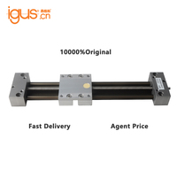 Module d'actionneur linéaire miniature de qualité supérieure 100 % original Igus SHT Drylin SLW avec vis mère et rail pour robot CNC