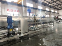Nieuwe Aangepaste Fruit Verwerkingsmachine Volautomatische Pitaya Sap Verwerkingslijn Hoge Kwaliteit Pitahaya Pulp Productie-Installatie