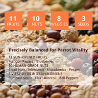 Alimentation pour oiseaux à base de calcium, phosphore et légumes, fabriquée en usine OEM, favorise la solidité du bec, alimentation idéale pour les perroquets