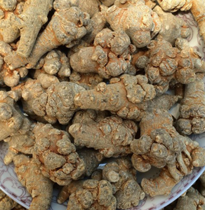 Yunnan New Collected Whole Radix Pseudoginseng Bulk Sale Pseudoginseng Root para o chá - Product Image 2