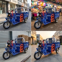 Go-Kart Eléctrico Todoterreno para Adultos, 48V 20Ah, Transmisión por Eje, Motor BLDC de 750W, Velocidad de 70km/h, Freno Hidráulico, Ruedas de 80cm para Uso en Exteriores