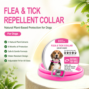 Collier <span class=keywords><strong>anti</strong></span>-puces pour <span class=keywords><strong>chien</strong></span> réglable, <span class=keywords><strong>naturel</strong></span>, longue durée, protection de 8 mois - Product Image 6