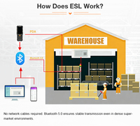 Etiqueta Electrónica Inteligente para Estantes con Sistema ESL Bluetooth de 4 Colores y Larga Vida Útil para Tiendas y Hospitales