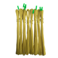 Tête d'allumage électronique à télécommande de 2 m avec effet de flamme jaune-vert, certifiée CE pour les célébrations de feux d'artifice de festival