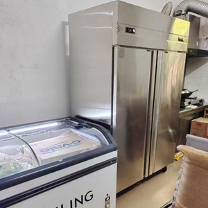 Congélateur commercial <span class=keywords><strong>convertible</strong></span> à 2 portes Flishel FLX-1.0L2 à refroidissement statique personnalisé, en acier inoxydable, pour pâtisserie, numérique - Product Image 6