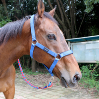 Bride colorée d'équipement de cheval de course en nylon de la meilleure qualité à vendre