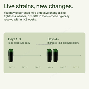 Probiotico prebiotico sinbiotico quotidiano vegano stabile da scaffale per donne uomini supporto immunitario per la salute dell'intestino digestivo - Product Image 5
