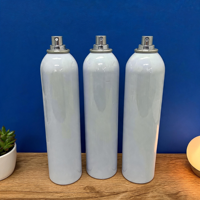 Bombe aérosol vide en aluminium compatible DME avec revêtement interne en polyimide haute pression pour pulvérisation automobile et industrielle
