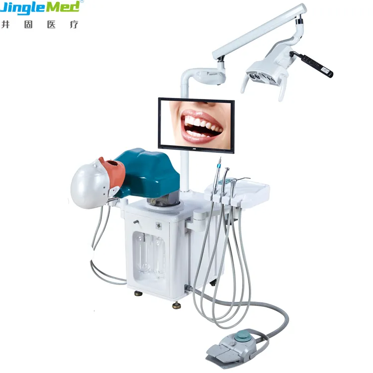 Modelo dental de nuevo diseño, simulador médico, equipo de enseñanza