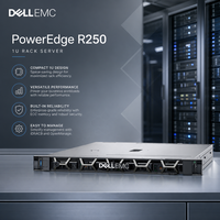 Pour serveur rack 1U PowerEdge R250, processeur Intel Xeon E, extension de stockage DDR4 UDIMM pour l'informatique en cloud et le calcul à bord de réseau
