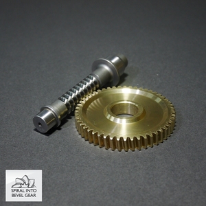 Durable Brass Material Steel Worm <b>Gear</b> for Speed Reducers - Product Image 3