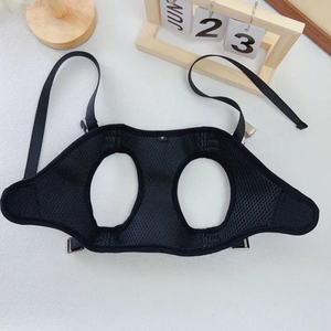 ชุดสายจูงสัตว์เลี้ยงสุดหรู พร้อมสายจูง กระเป๋า ผ้าพันคอ โบว์ผูก พร้อมส่ง อุปกรณ์สัตว์เลี้ยงยอดนิยมสำหรับสุนัข - Product Image 4