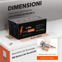 Batterie au lithium LiFePO4 extensible LiTime 48V 100Ah Groupe 8D pour système solaire hors réseau
