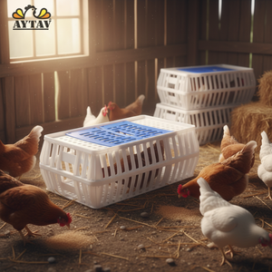 New AYTAV Top Opening Small Conical Chicken Transport Coop 10-12 Capacity Temperature Endurance -20C +80C PE Material All - Product Image 3