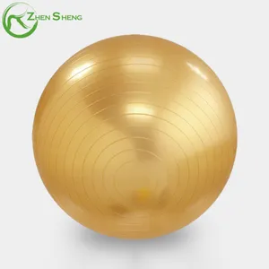 Zhenzheng-Bola de Yoga suiza, Logo personalizado, antiráfaga, duradera, ecológica, Extra gruesa