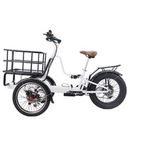 Vélo électrique quad avec cargaison vélo cargo électrique à longue portée pour gros chien avec vélo électrique rapide de 250W