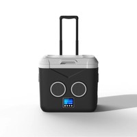 Glacière portable 13L avec haut-parleur Bluetooth 5.3, double audio 5W, pour camping et pique-niques