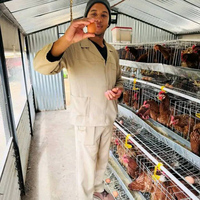 Poulaillers neufs pour poulets de chair et poules pondeuses, type de bâtiment d'élevage disponible à la vente